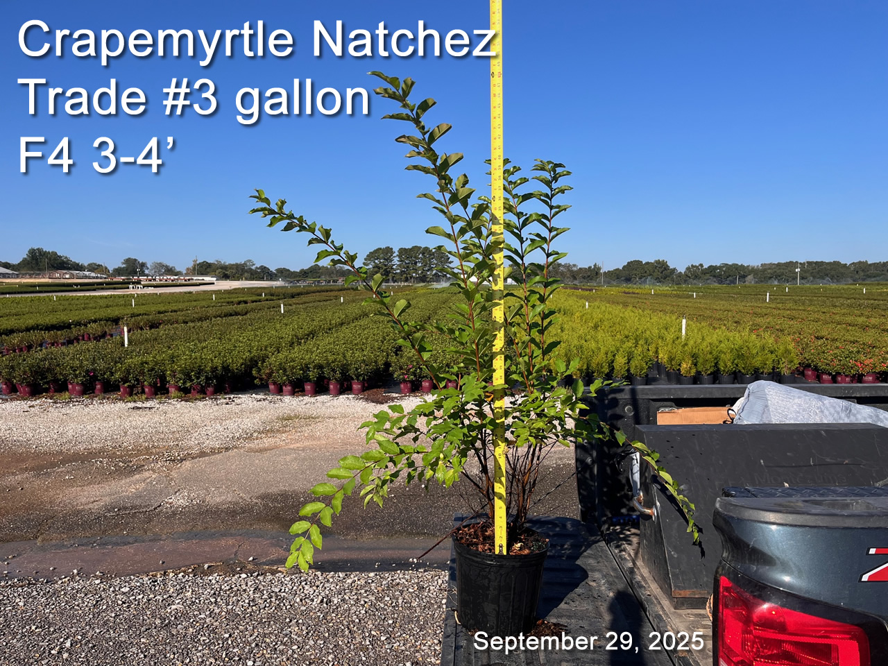 gallery/cnz3t f4 sept29.jpg
